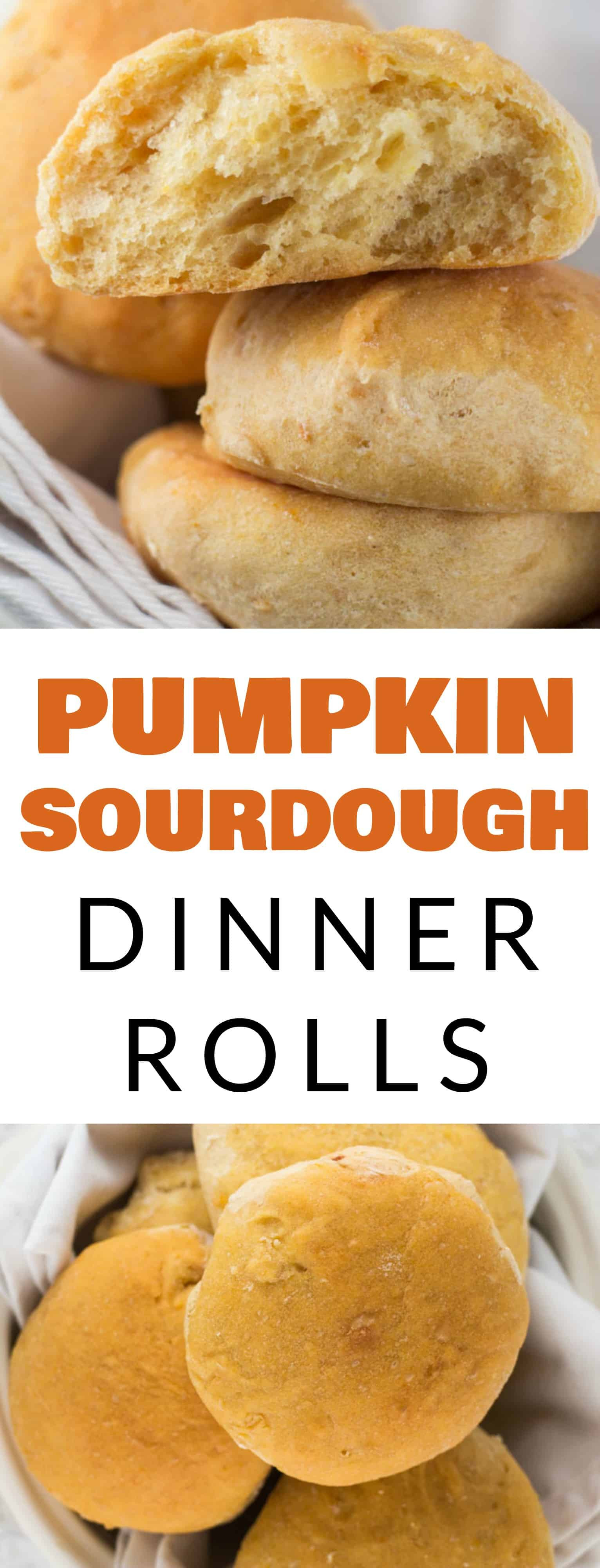 Sourdough Dinner Rolls
 Pumpkin Sourdough Dinner Rolls Brooklyn Farm Girl