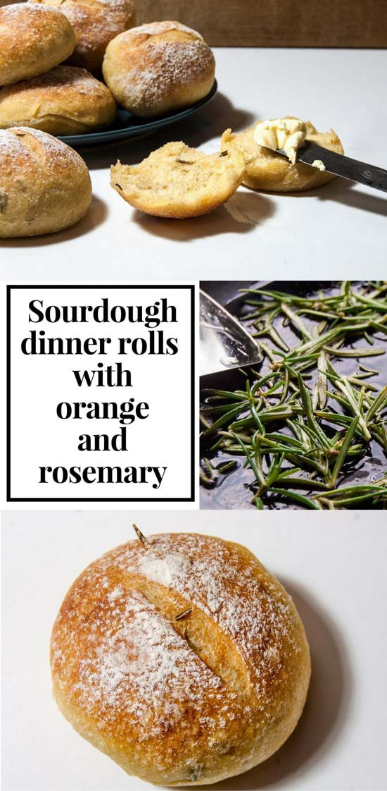 Sourdough Dinner Rolls
 Sourdough dinner rolls with orange and rosemary