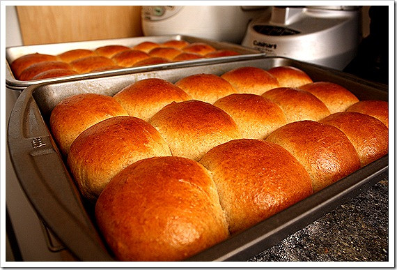 Sourdough Dinner Rolls
 Soft pull apart wheat rolls with sourdough starter or