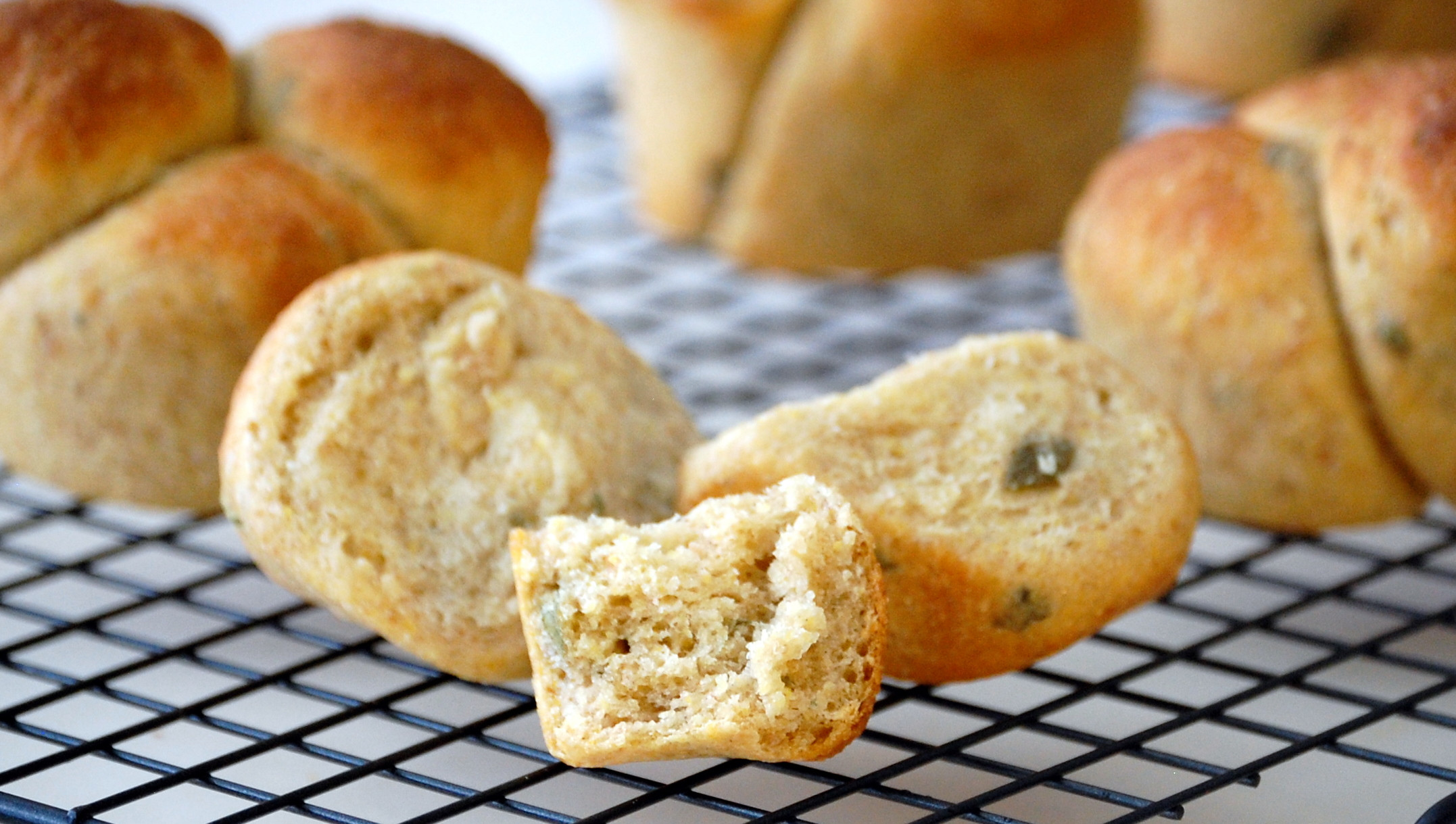 Sourdough Dinner Rolls
 Clover leaf sourdough rolls