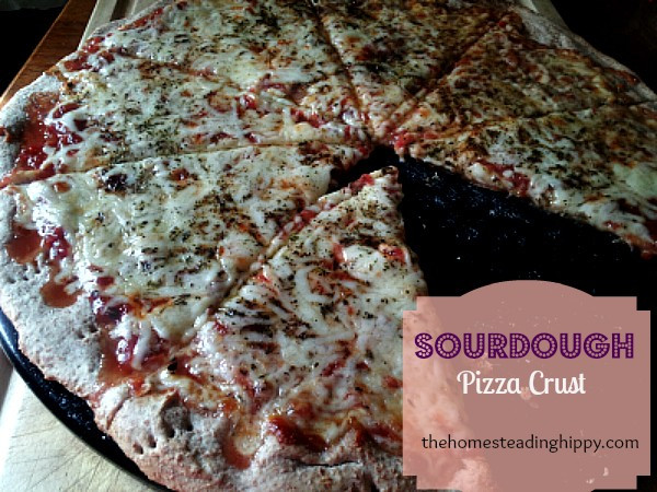 Sourdough Pizza Dough
 Sourdough Pizza Crust