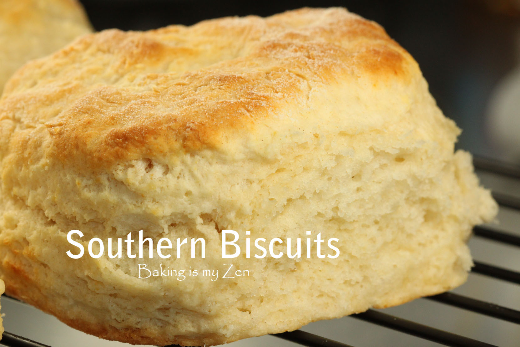 Southern Biscuit Recipe
 SOUTHERN BISCUITS