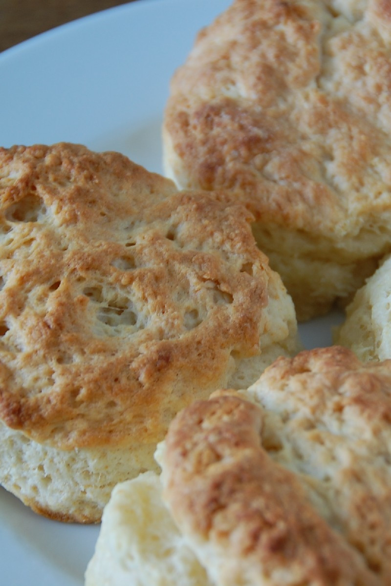 Southern Biscuit Recipe
 Southern Biscuits