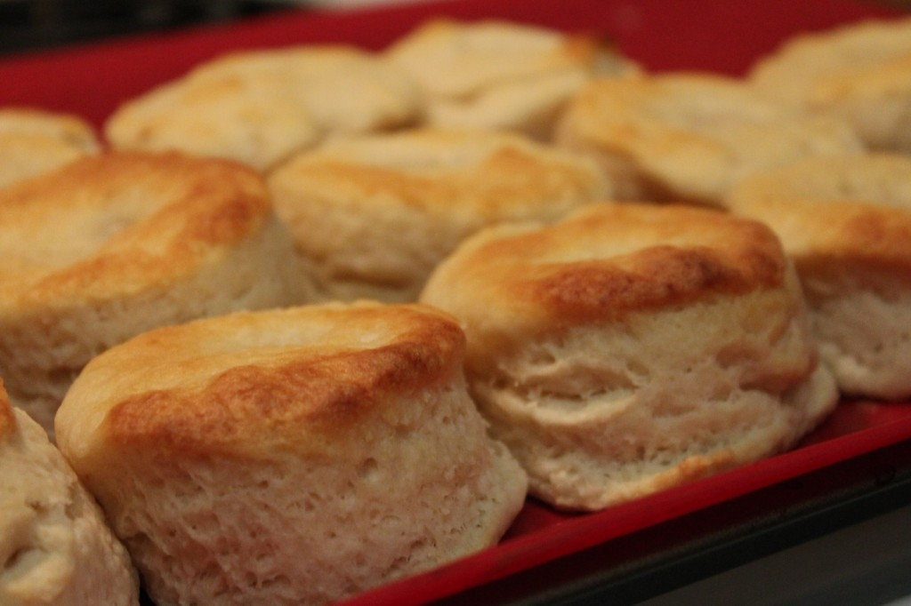 Southern Biscuit Recipe
 Southern Buttermilk Biscuits Recipe