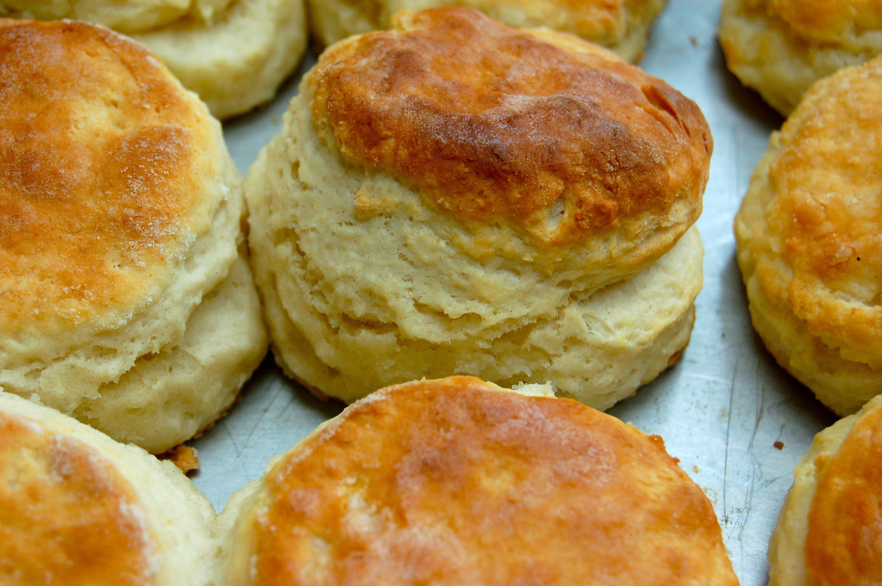 Southern Biscuit Recipe
 How to Make Biscuits Baking Secrets and Five Recipes