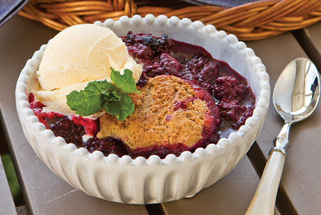 Southern Blackberry Cobbler Recipe
 Blackberry Cobbler Recipe Southern Lady Magazine