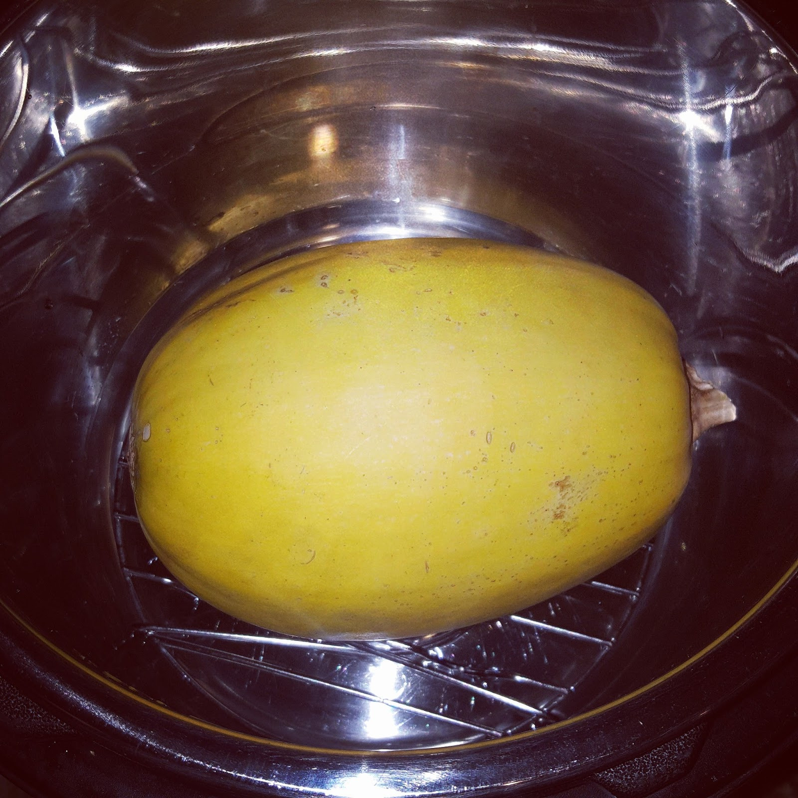 Spaghetti Squash In Pressure Cooker
 Food Under Pressure Spaghetti Squash cooked whole