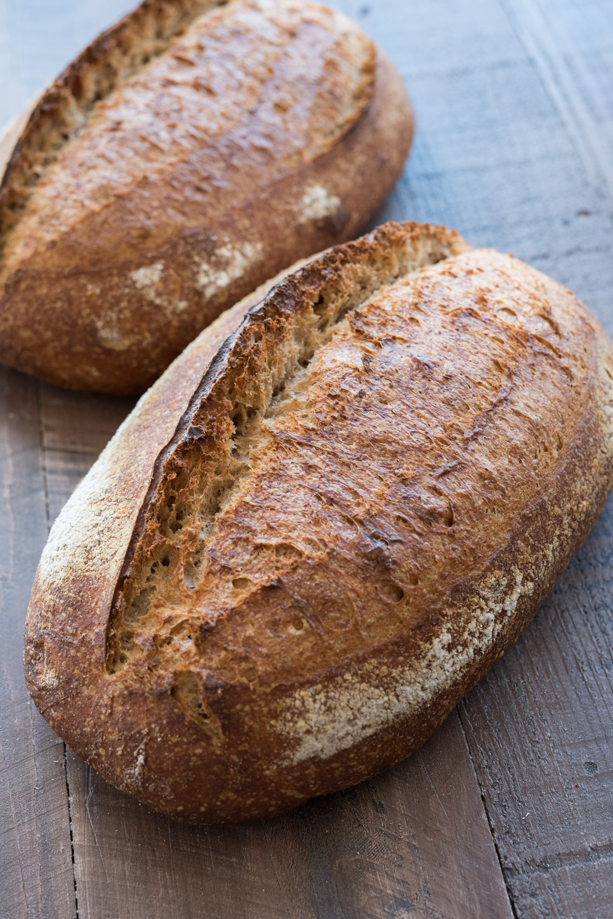 Spelt Sourdough Bread
 Fresh Milled Spelt Sourdough Bread Flourish King