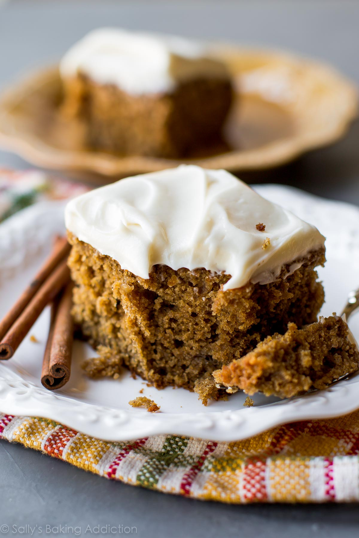 Spice Cake Recipes
 Super Moist Spice Cake Sallys Baking Addiction