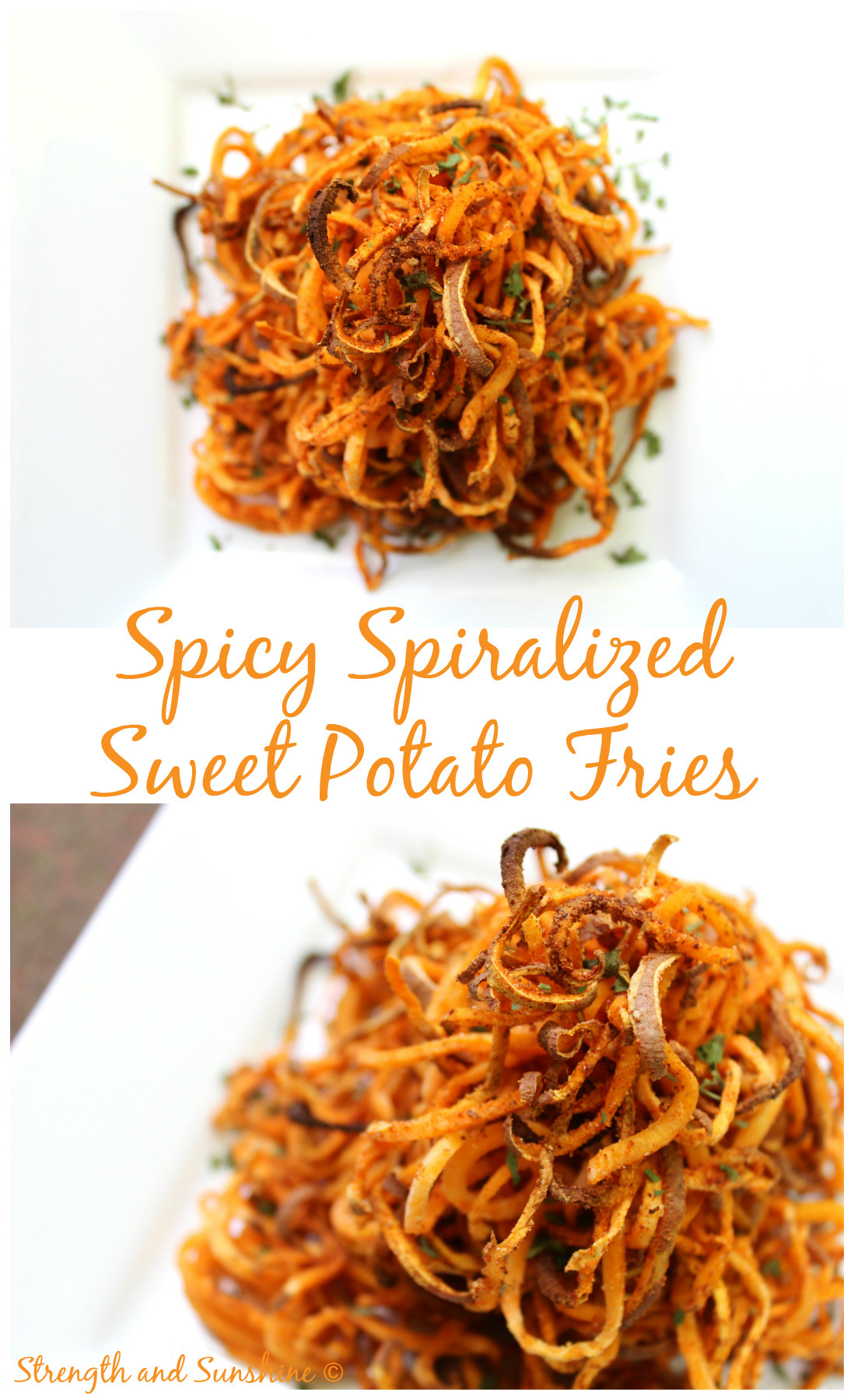 Spiralized Sweet Potato Fries
 Top 10 Posts From 2015