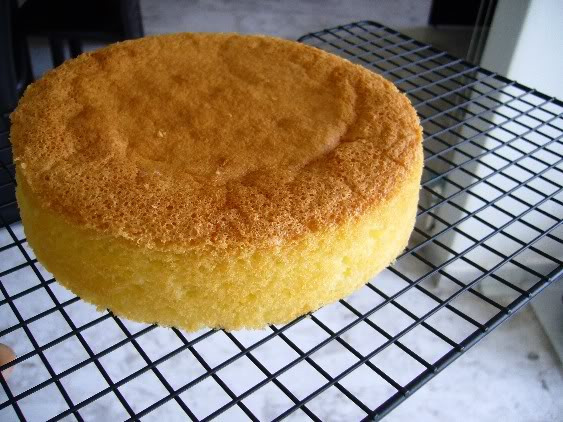 Sponge Cake Recipe From Scratch
 Cake Recipe Sponge Cake Recipe From Scratch