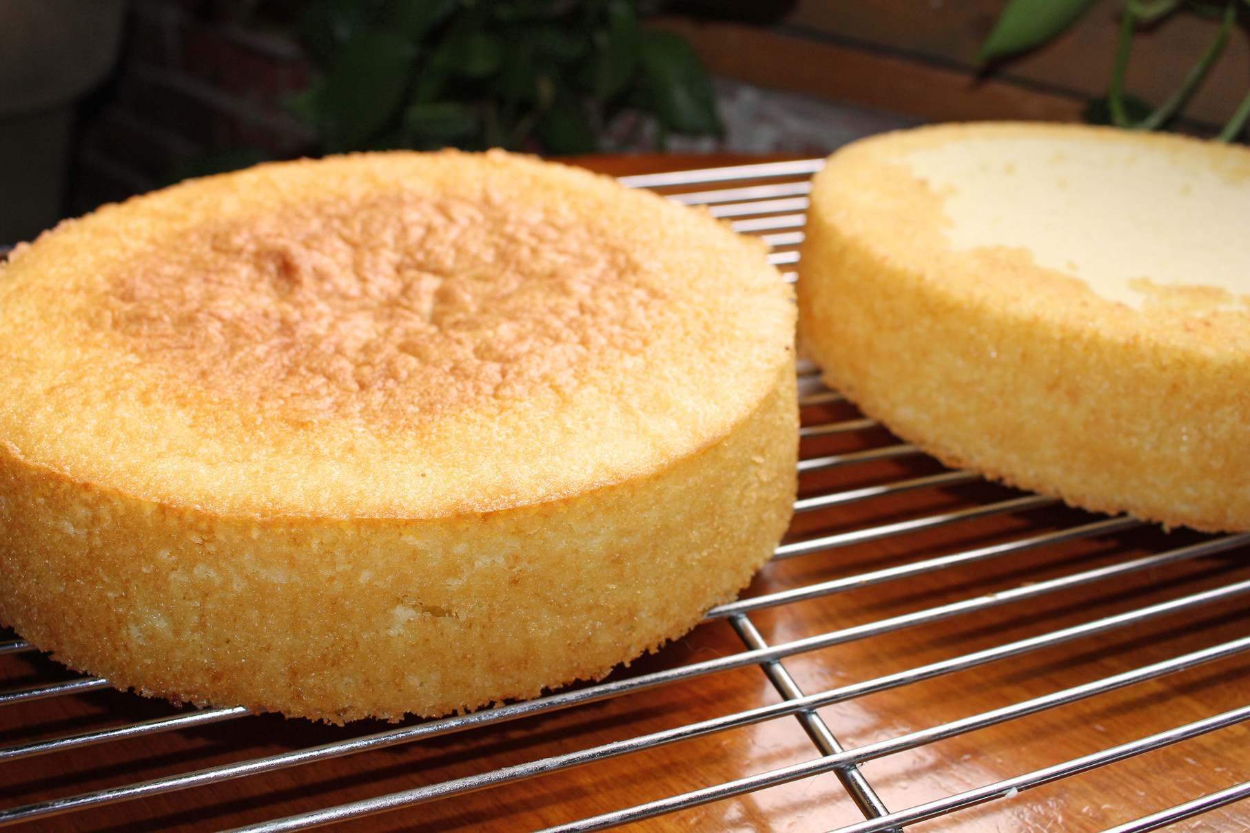 Sponge Cake Recipe
 Vanilla Sponge Cake Recipe