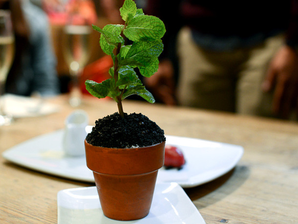 Spot Dessert Bar Nyc
 A Potted Plant Dessert The Harvest at Spot Dessert Bar