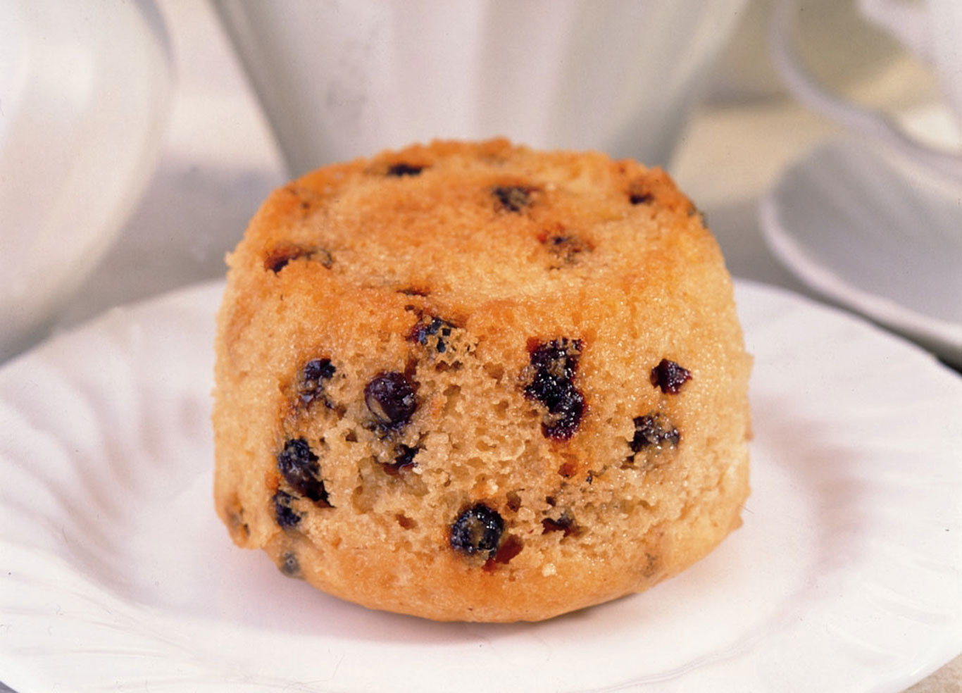 Spotted Dick Dessert
 Spotted Dick Sponge Pudding