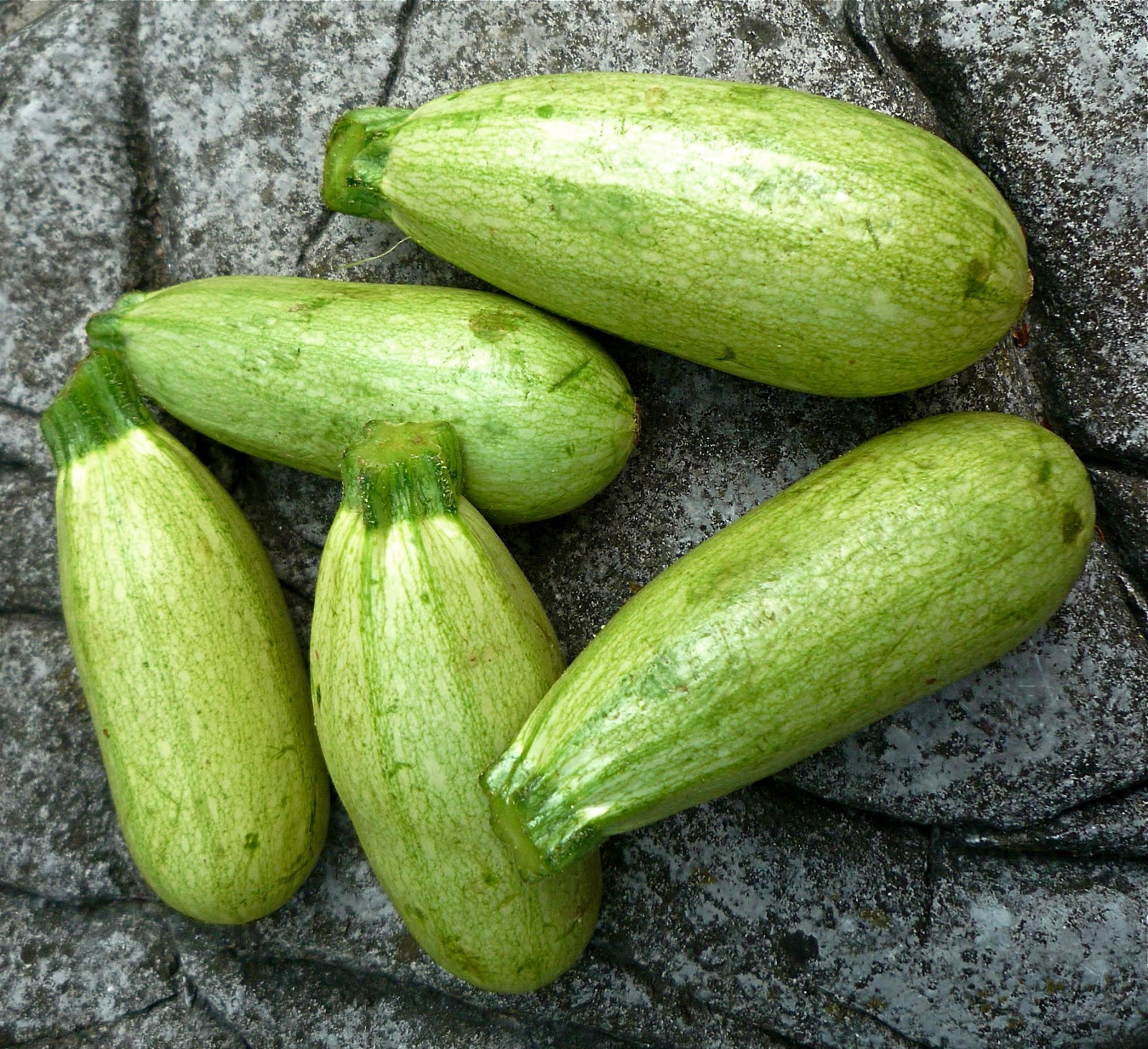 Squash Fruit Or Vegetable
 Marrow Fruits And Ve ables