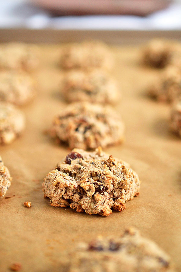 Steel Cut Oatmeal Cookies
 Fermented Steel Cut Oat Raisin Cookies v gf