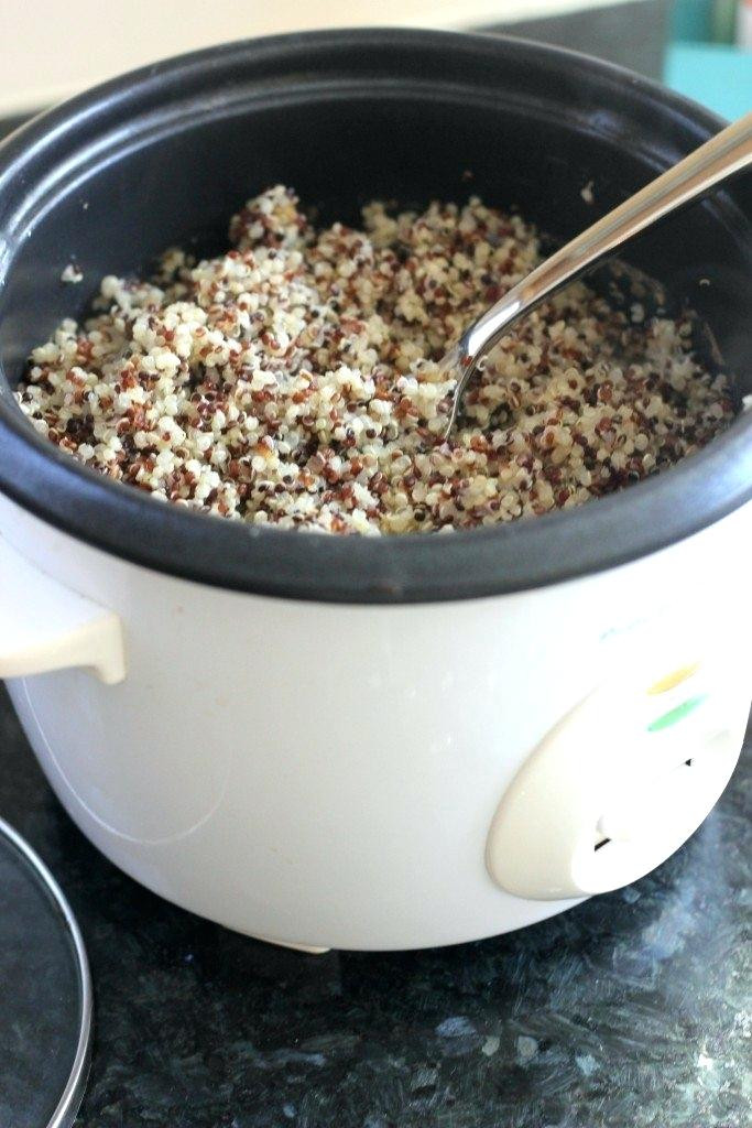 Steel Cut Oats In Rice Cooker
 Steel Cut Oats In Rice Cooker s Slow Cooker Oatmeal