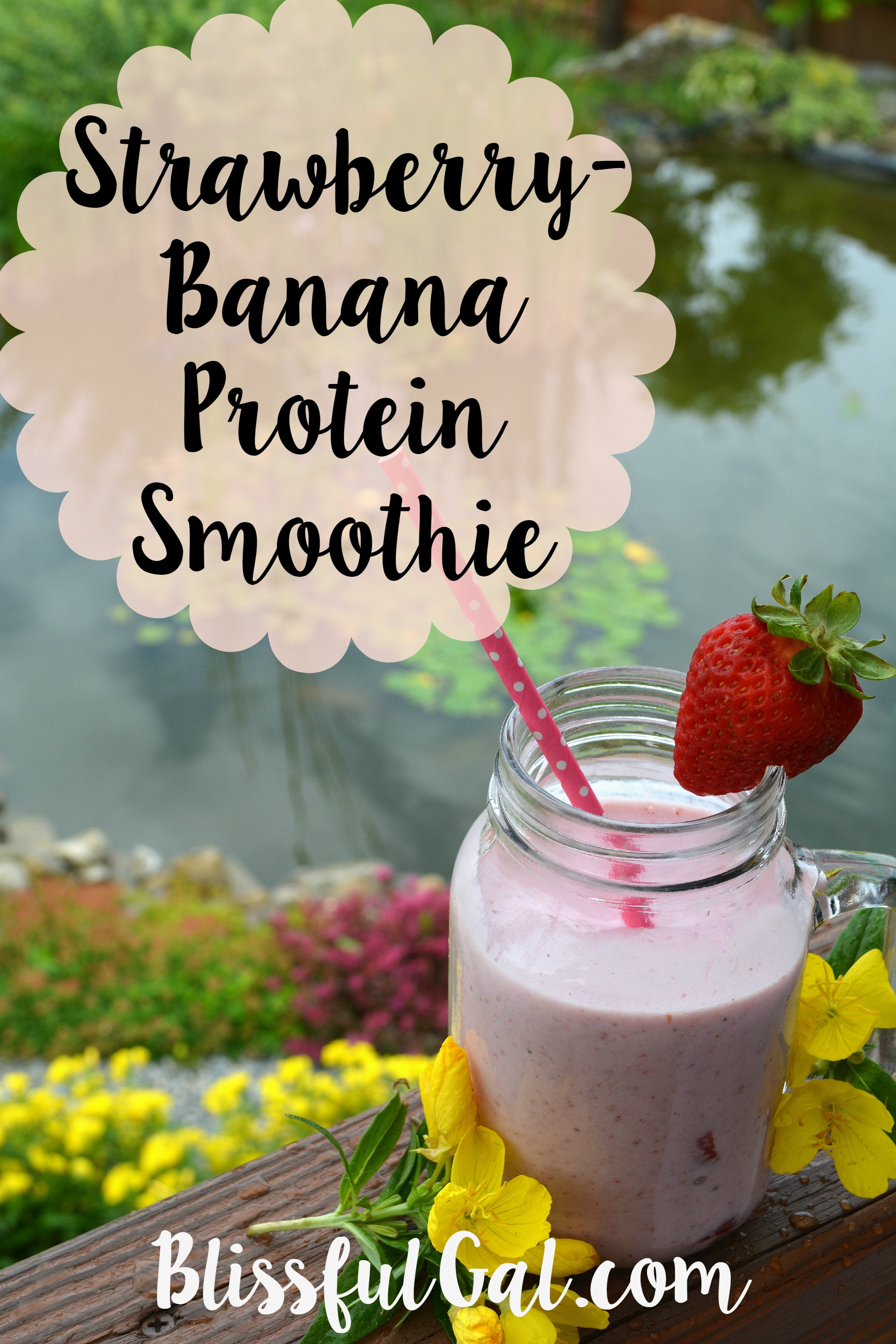 Strawberry Banana Protein Smoothies
 Recipe Strawberry Banana Protein Smoothie Blissful Gal