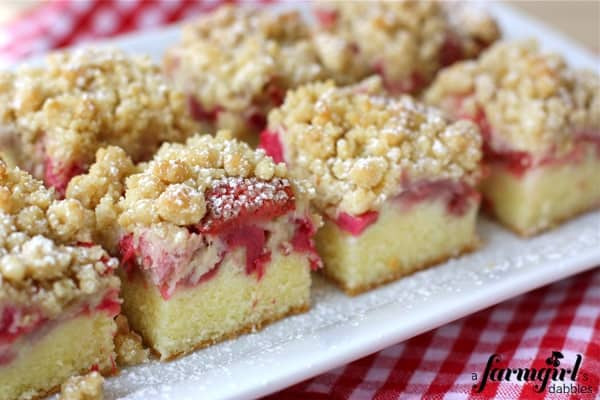 Strawberry Rubarb Dessert
 Strawberry Rhubarb Crumb Bars • a farmgirl s dabbles
