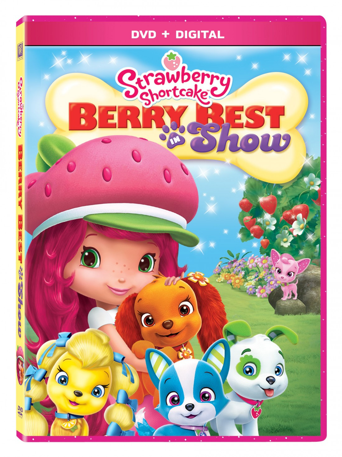 Strawberry Shortcake Dvds
 Strawberry Shortcake Berry Best in Show DVD Review and