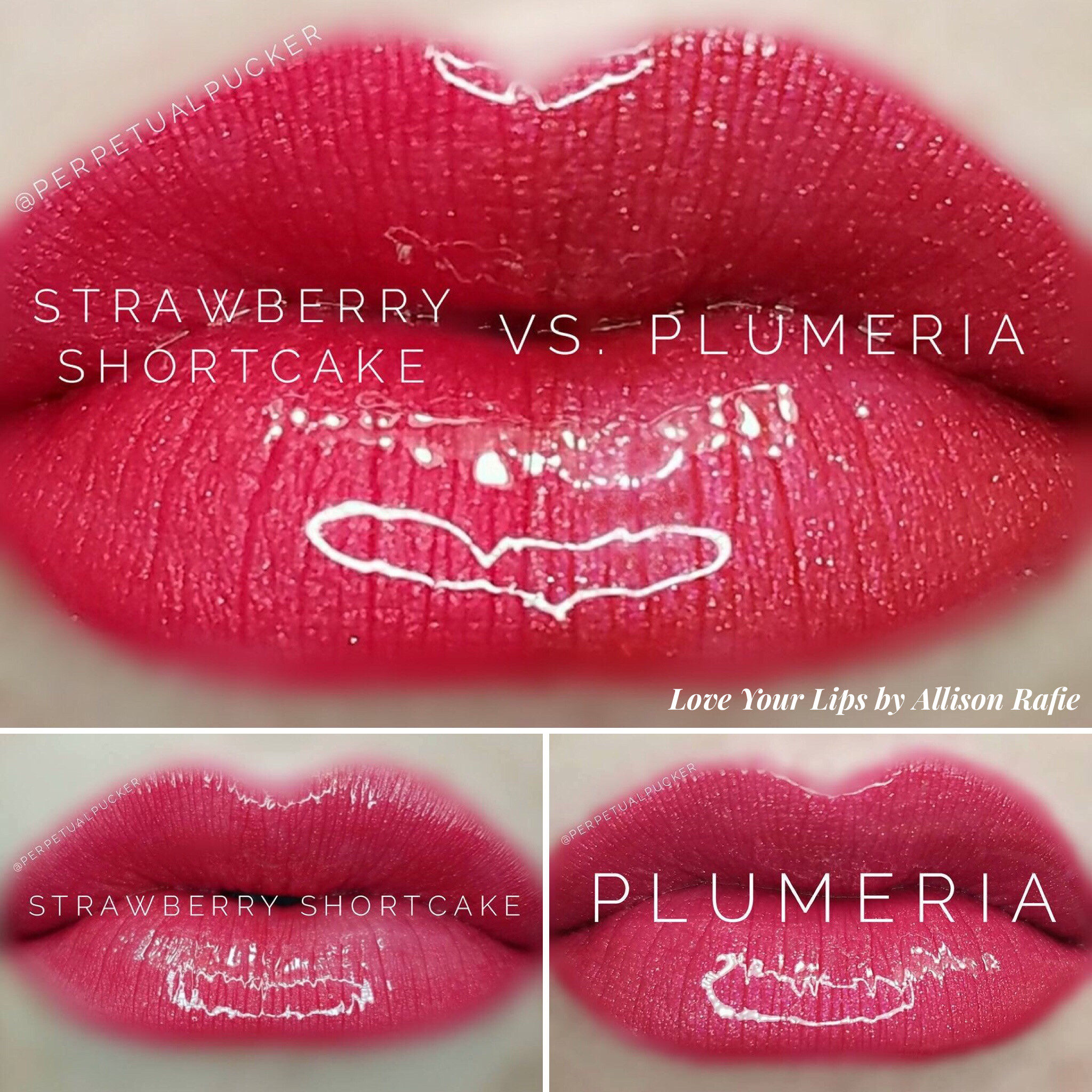 Strawberry Shortcake Lipsense
 Strawberry Shortcake vs Plumeria LipSense Distributer