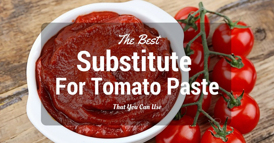 Substitute For Tomato Sauce
 The Best Substitute For Tomato Paste That You Can Use