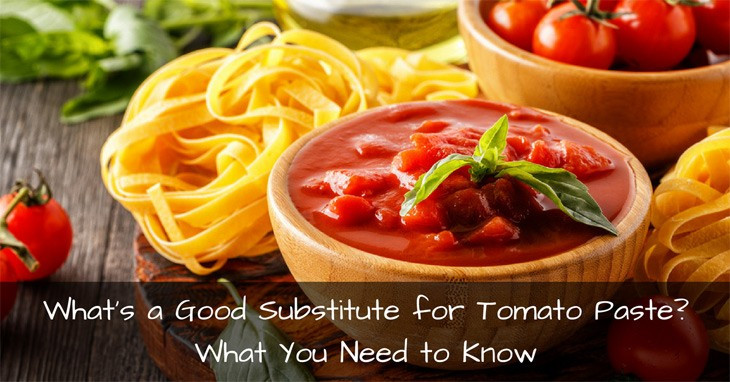 Substitute Tomato Paste For Tomato Sauce
 What’s a Good Substitute for Tomato Paste What You Need