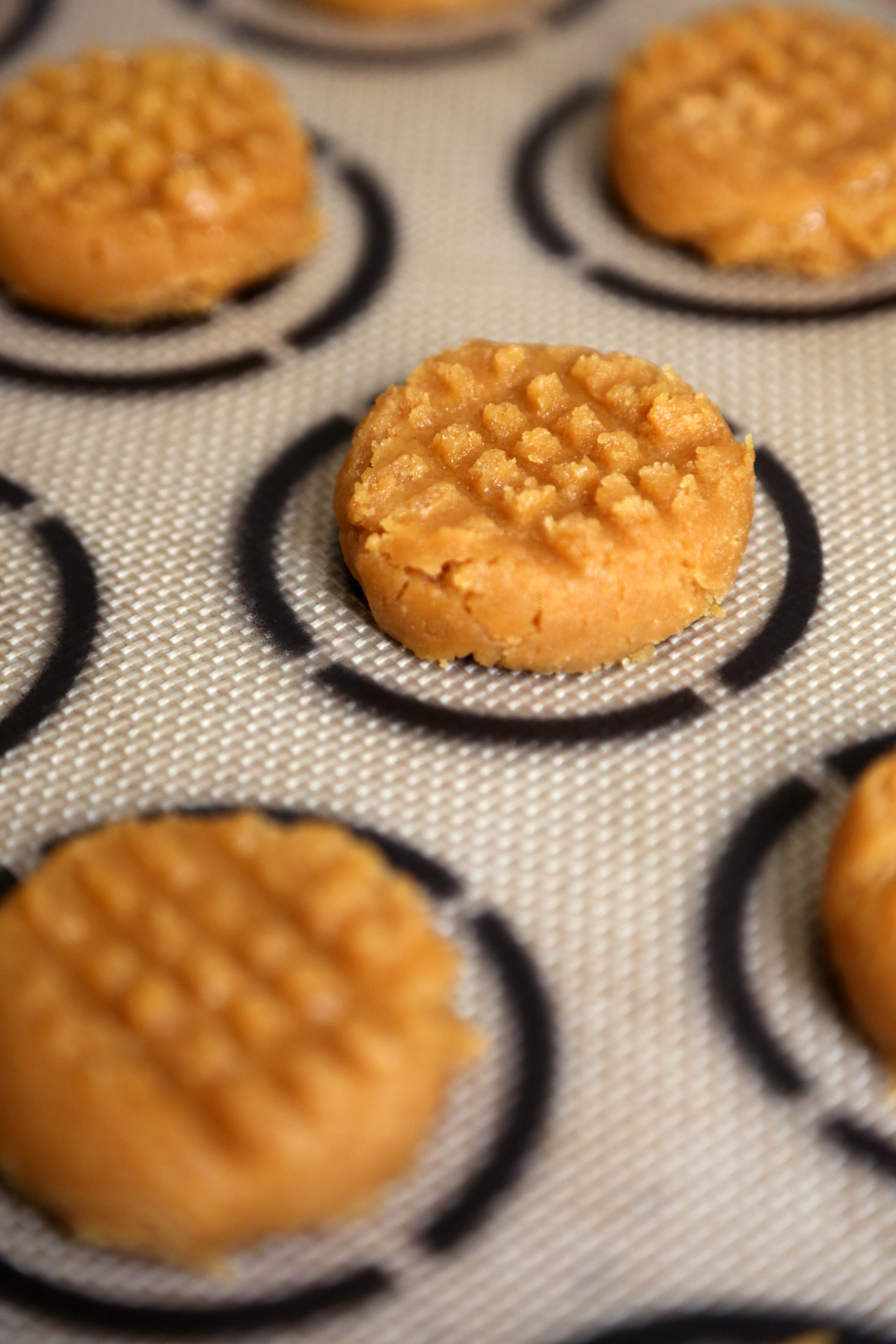 Sugar Cookies Without Butter
 peanut butter cookies without eggs or brown sugar