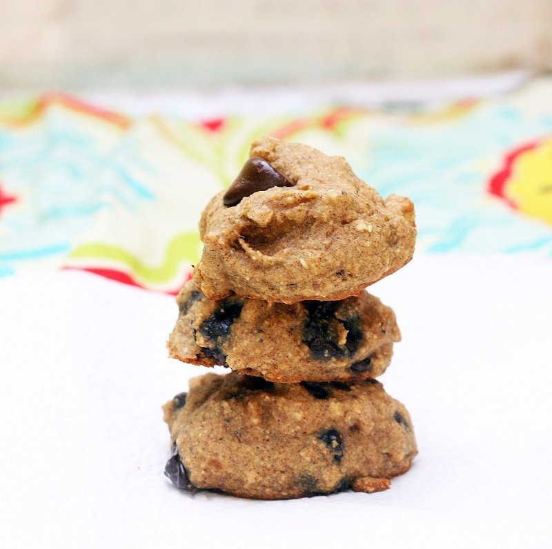 Sugar Free Cookies
 Sugar Free Chocolate Chip Cookies – The Smart Cookie