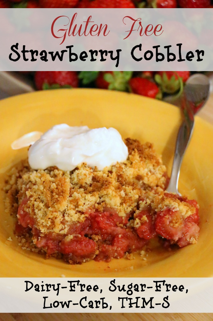 Sugar Free Dairy Free Desserts
 Gluten Free Strawberry Cobbler Dairy & Sugar Free Low