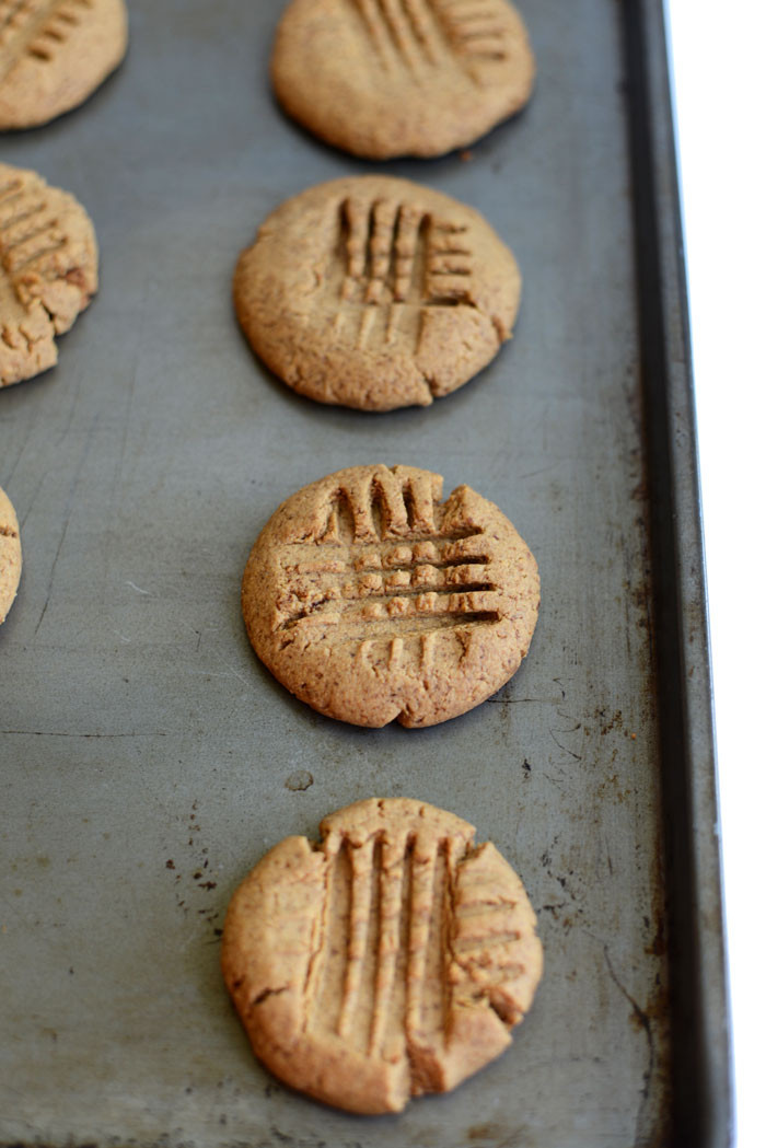 Sugar Free Peanut Butter Cookies
 grain free sugar free peanut butter cookies