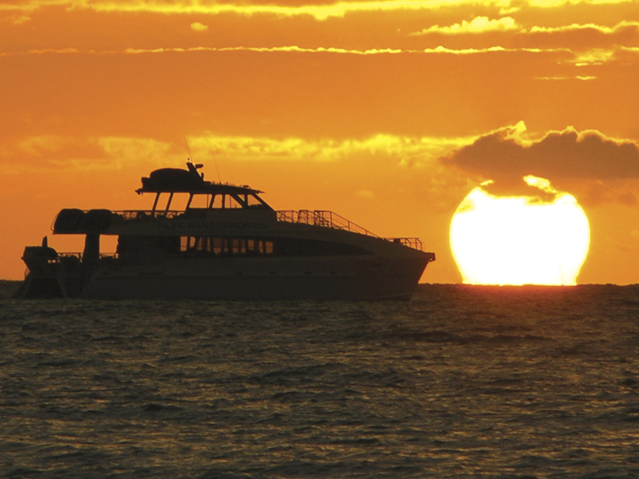 Sunset Dinner Cruise
 Maui Sunset Dinner Cruise