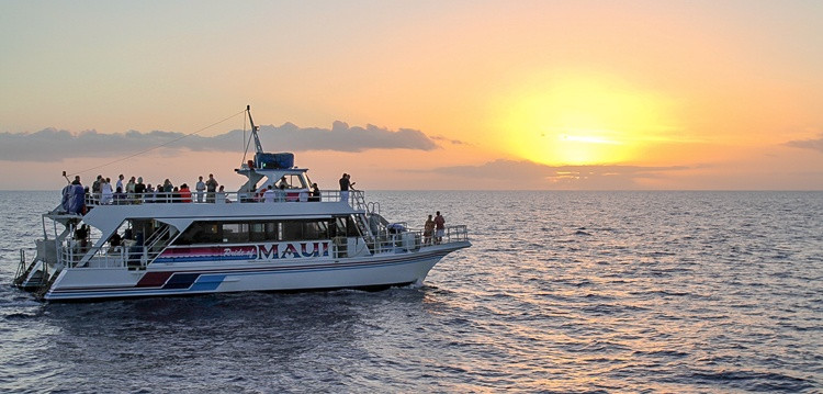 Sunset Dinner Cruise
 Maui Sunset Dinner Cruise