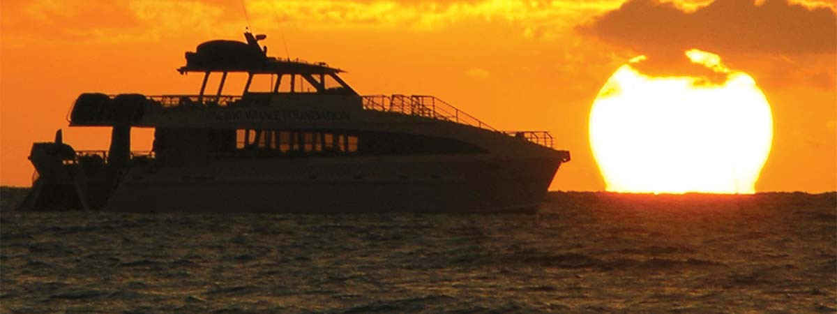 Sunset Dinner Cruise
 Lahaina Sunset Dinner Cruise Maui