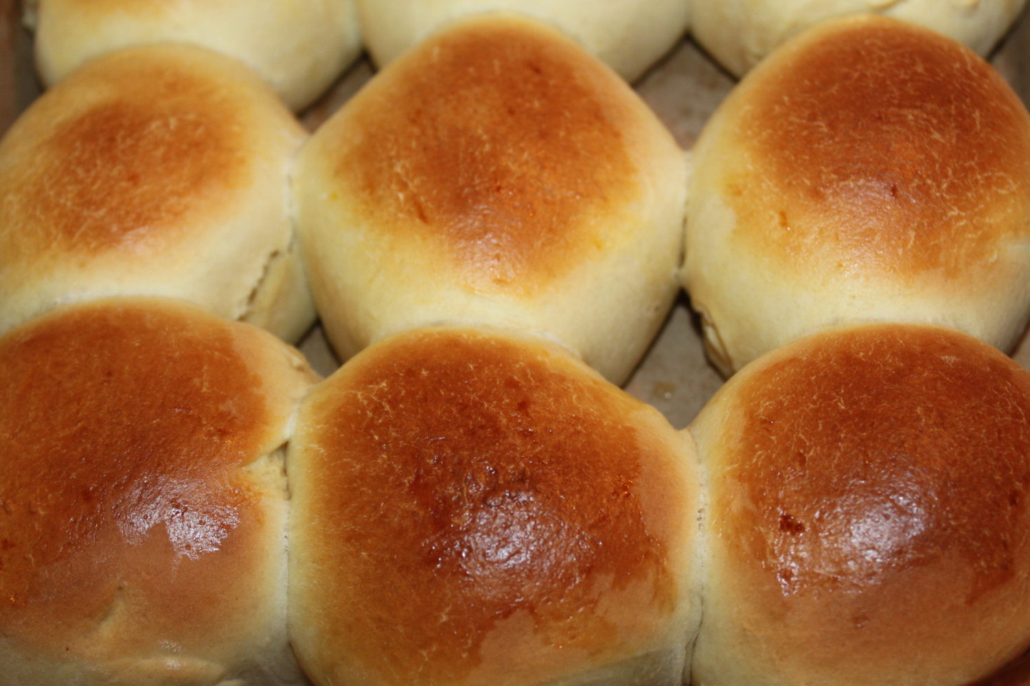 Sweet Dinner Rolls Recipe
 Sweet Dinner Rolls Recipe Pure Goodness Old World