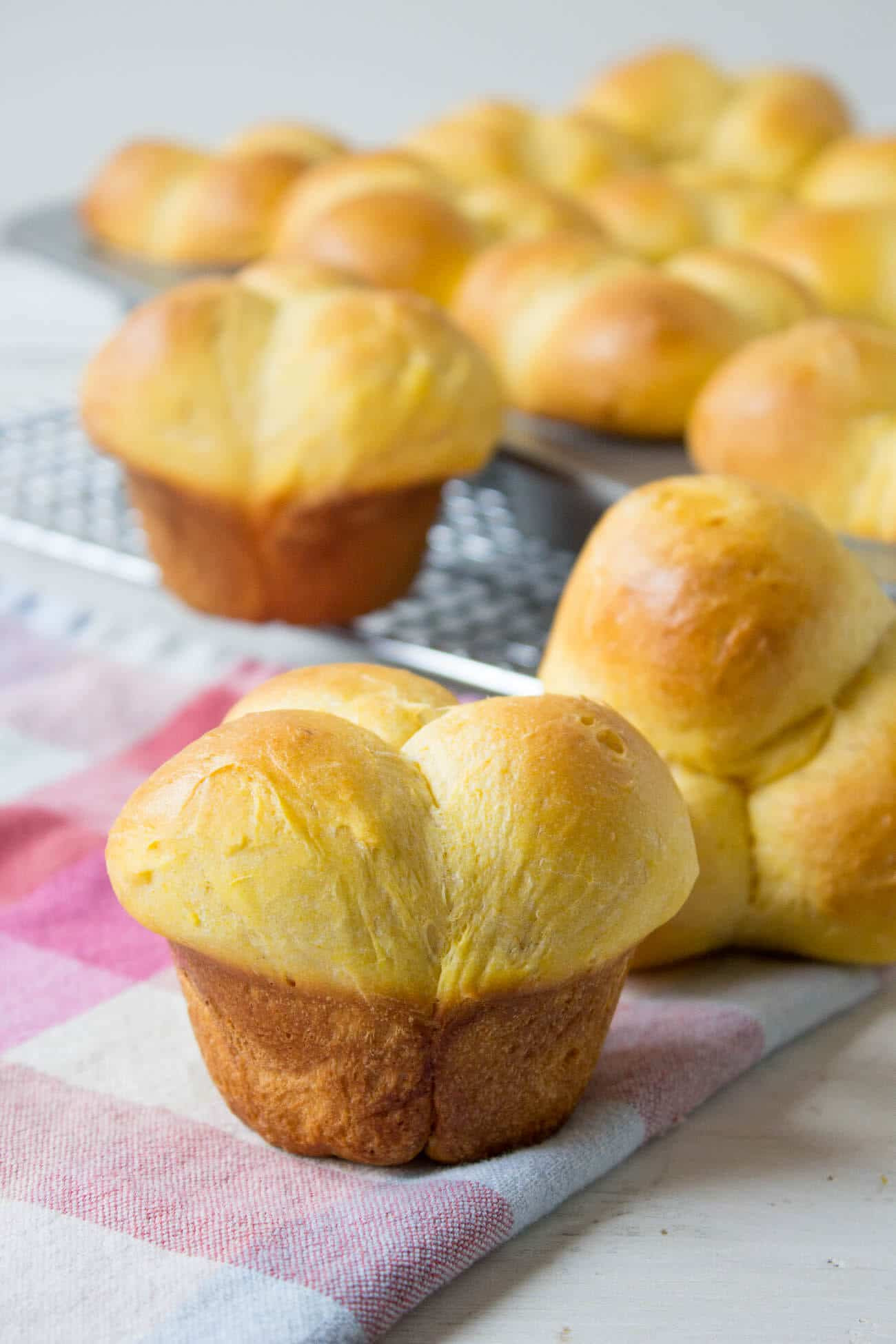 Sweet Dinner Rolls Recipe
 Sweet Potato Dinner Rolls Recipe — Dishmaps