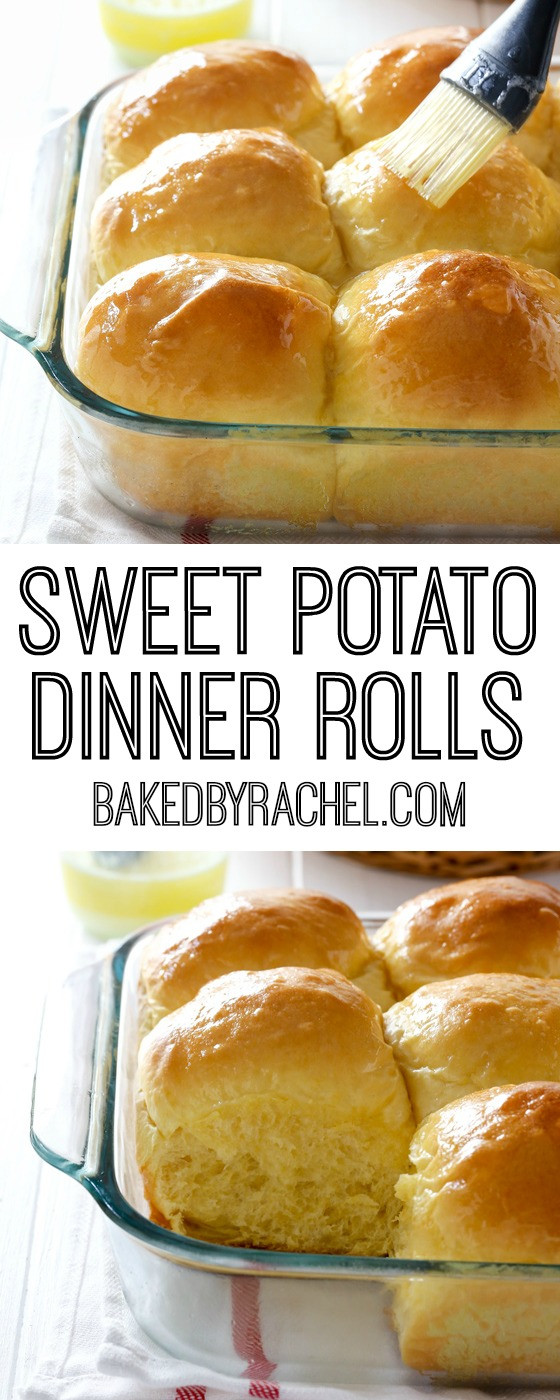 Sweet Dinner Rolls Recipes
 Sweet Potato Dinner Rolls Recipe — Dishmaps