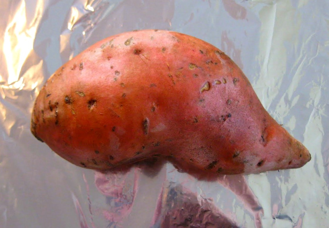 Sweet Potato For Baby
 Simply Scratch How To Make Sweet Potato Puree Simply Scratch