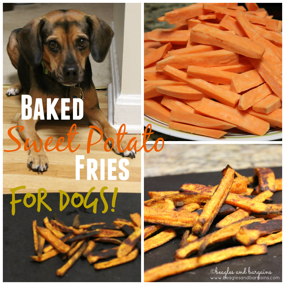 Sweet Potato For Dogs
 5 Ways to Use Leftover Sweet Potato in Dog Treats Kol s