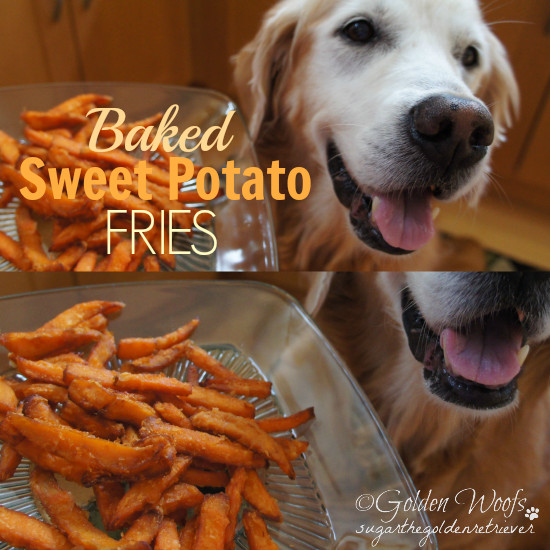 Sweet Potato For Dogs
 Sweet Benefits Sweet Potato For Dogs Golden Woofs