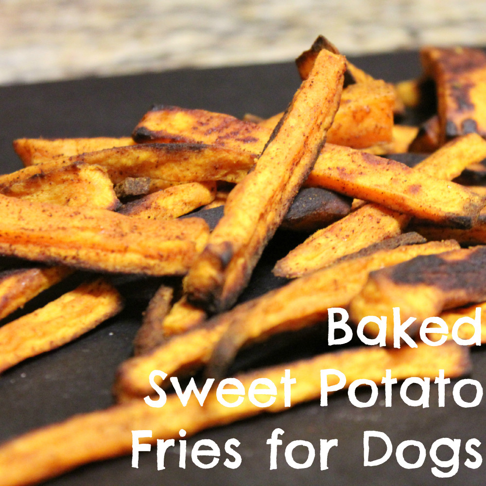 Sweet Potato For Dogs
 Sweet Potato Fries For Dogs