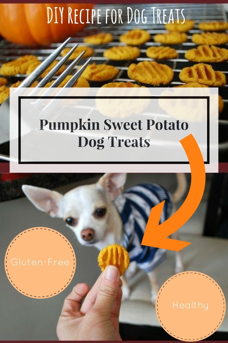 Sweet Potato For Dogs
 Sweet Potato Treats for Dogs – Easy Homemade Treats Your