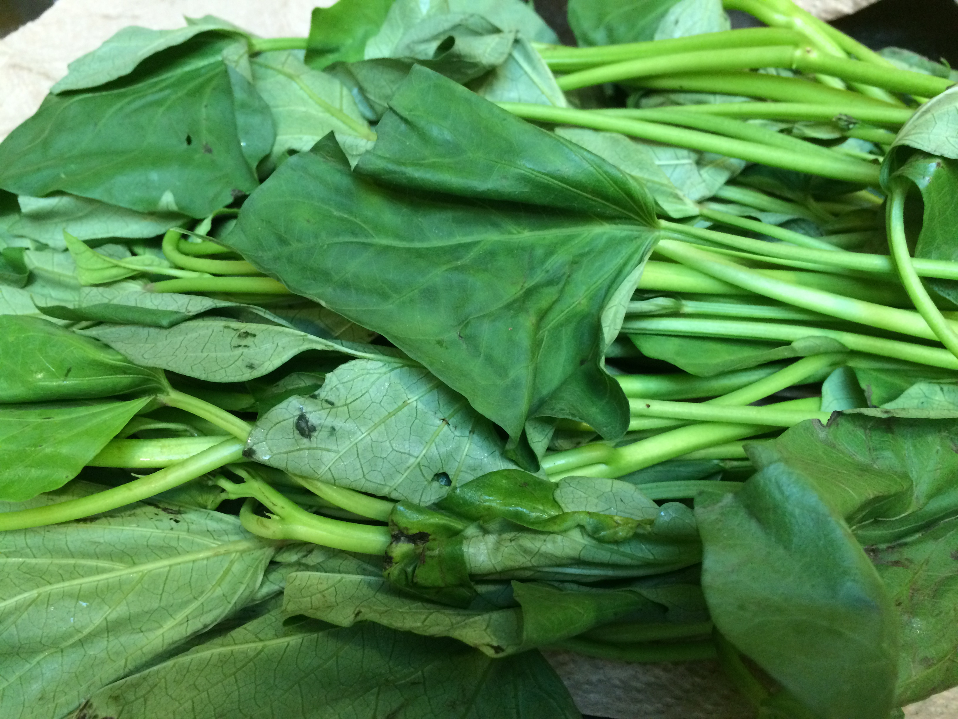 Sweet Potato Leaves
 The sweet potato’s diamond shaped leaves