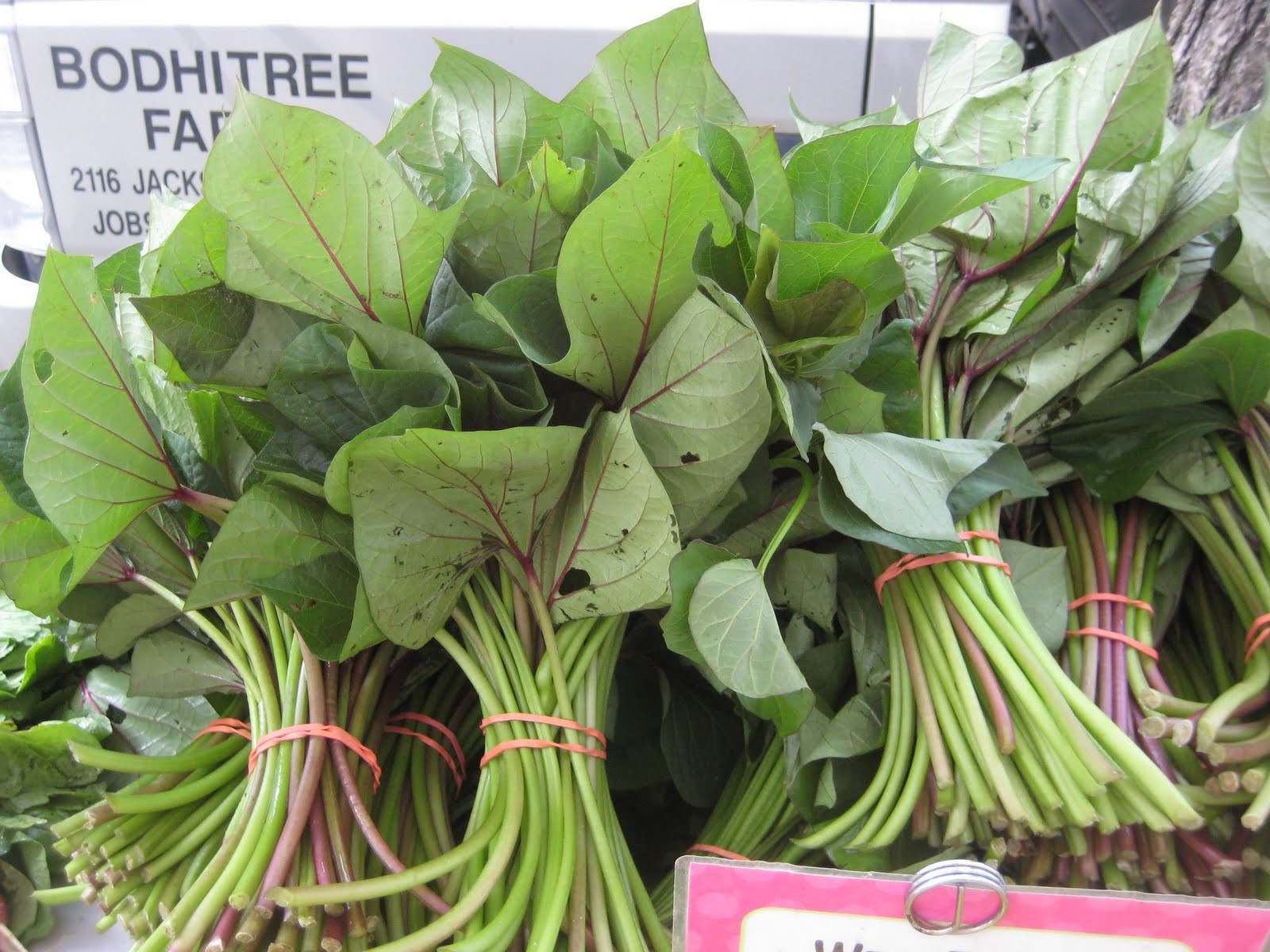 Sweet Potato Leaves
 The Delicious Truth A New Find Sweet Potato Leaves