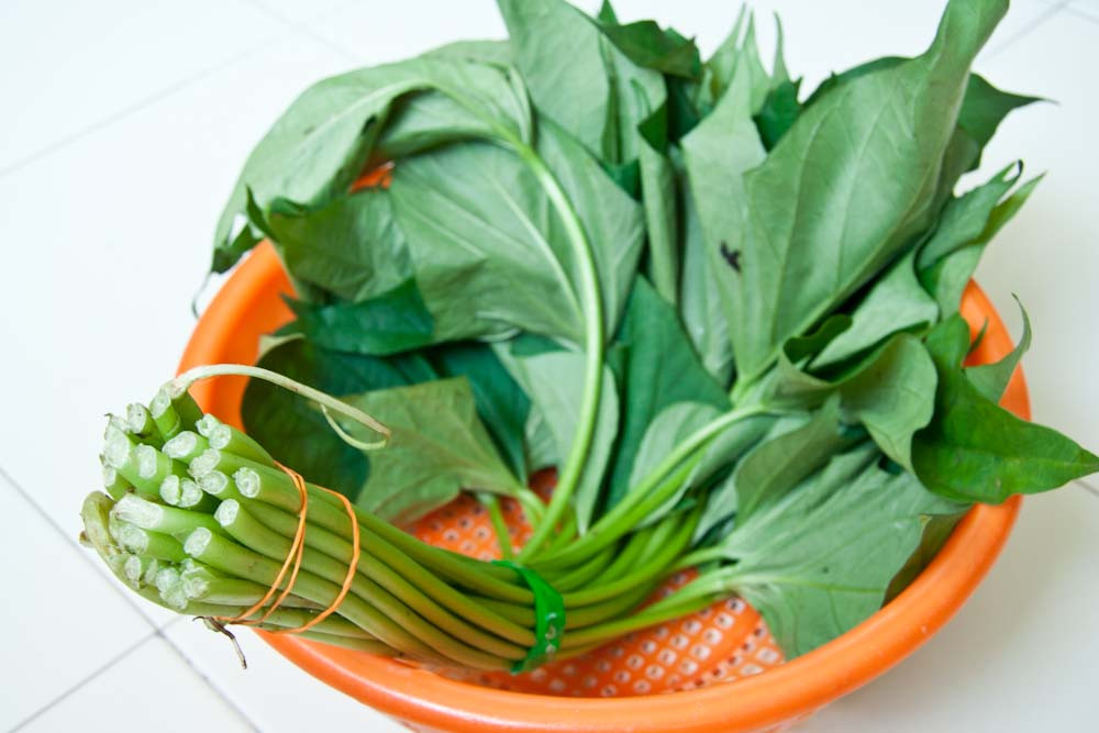 Sweet Potato Leaves
 A Fiery Home ing Stir fried Sweet Potato Leaves with