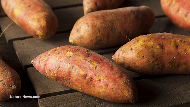 Sweet Potato Potassium
 Sweet potatoes for ex smokers Yams have been proven to