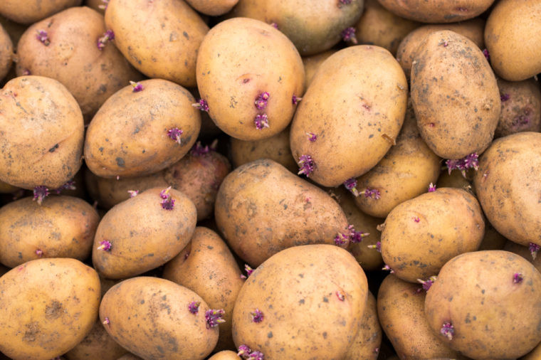 Sweet Potato Potassium
 Potassium Rich Foods with More Potassium than a Banana