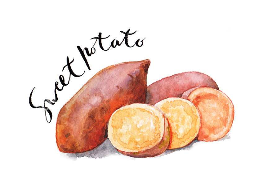 Sweet Potato Season
 In Season – Chattanooga Magazine
