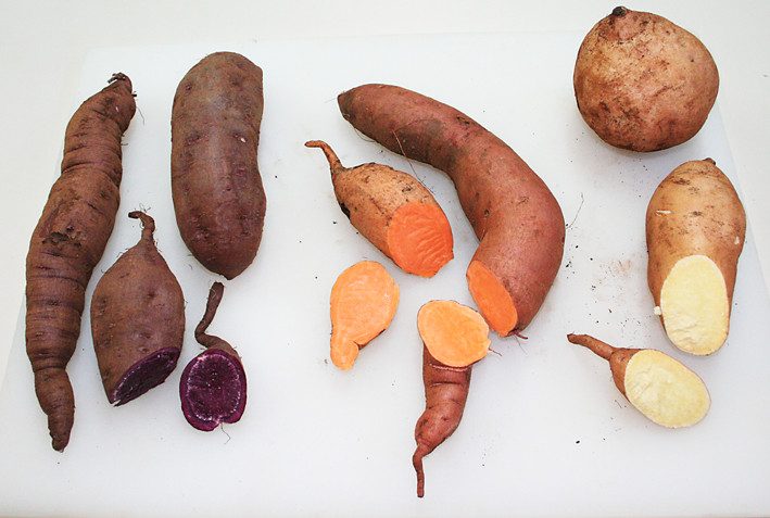 Sweet Potato Varieties
 Sweet Potatoes are one of natures Super foods – Wickedfood