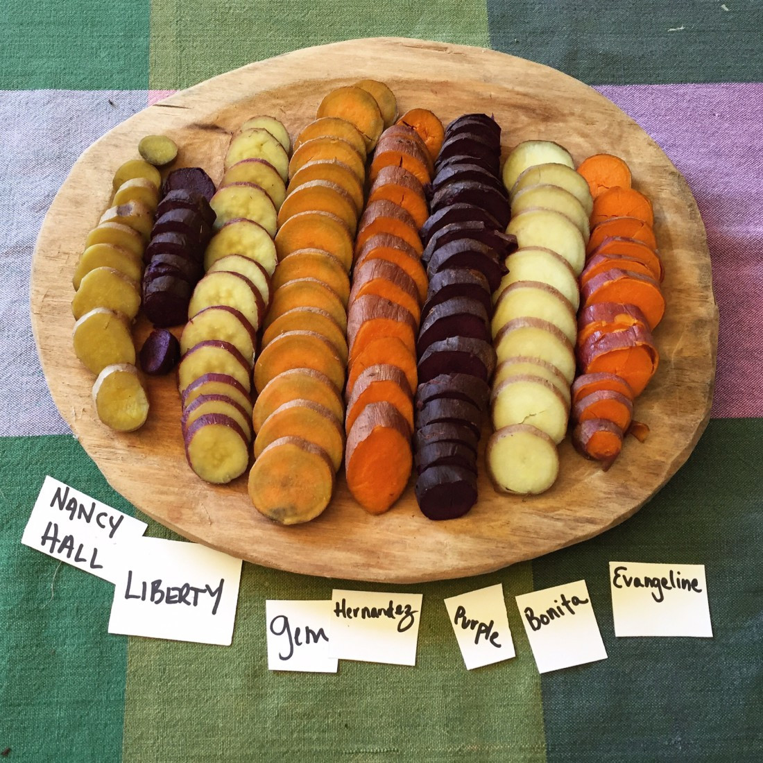 Sweet Potato Varieties
 Asheville Heritage Food Project celebrates endangered